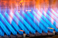 Lynworth gas fired boilers